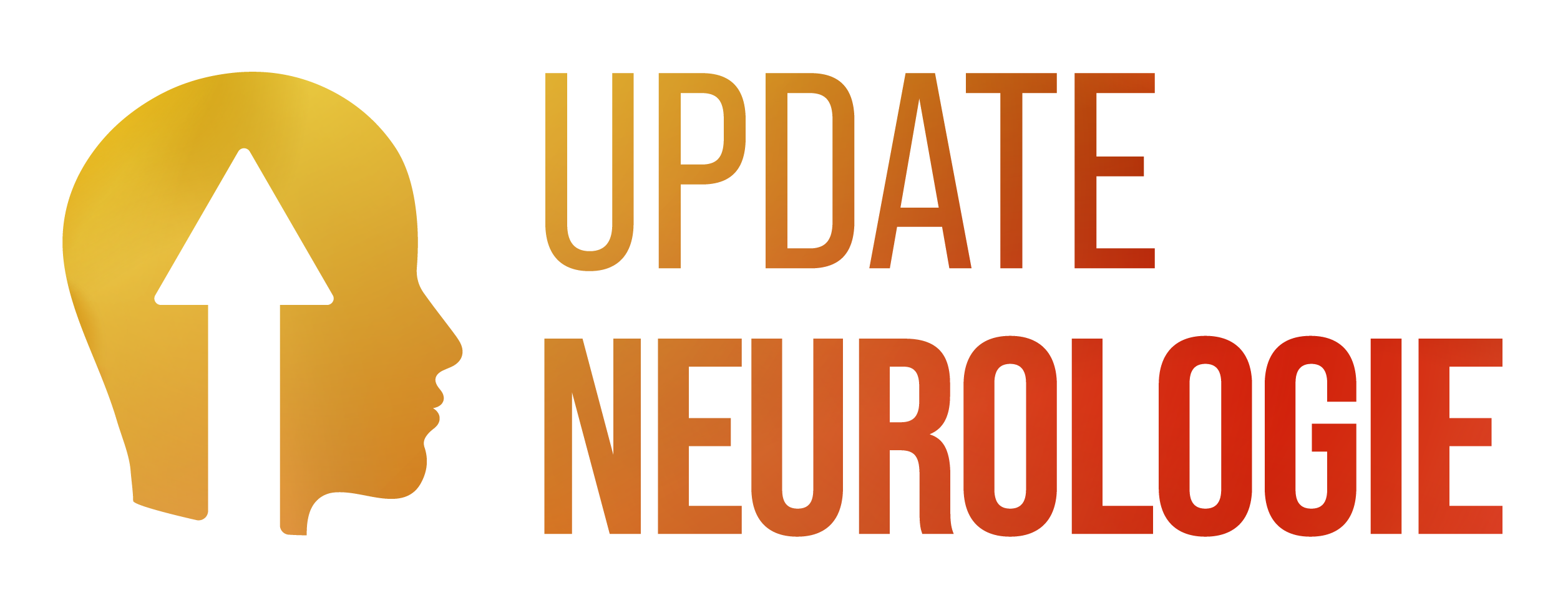 10th London-Innsbruck Colloquium on Status Epilepticus and Acute Seizures.